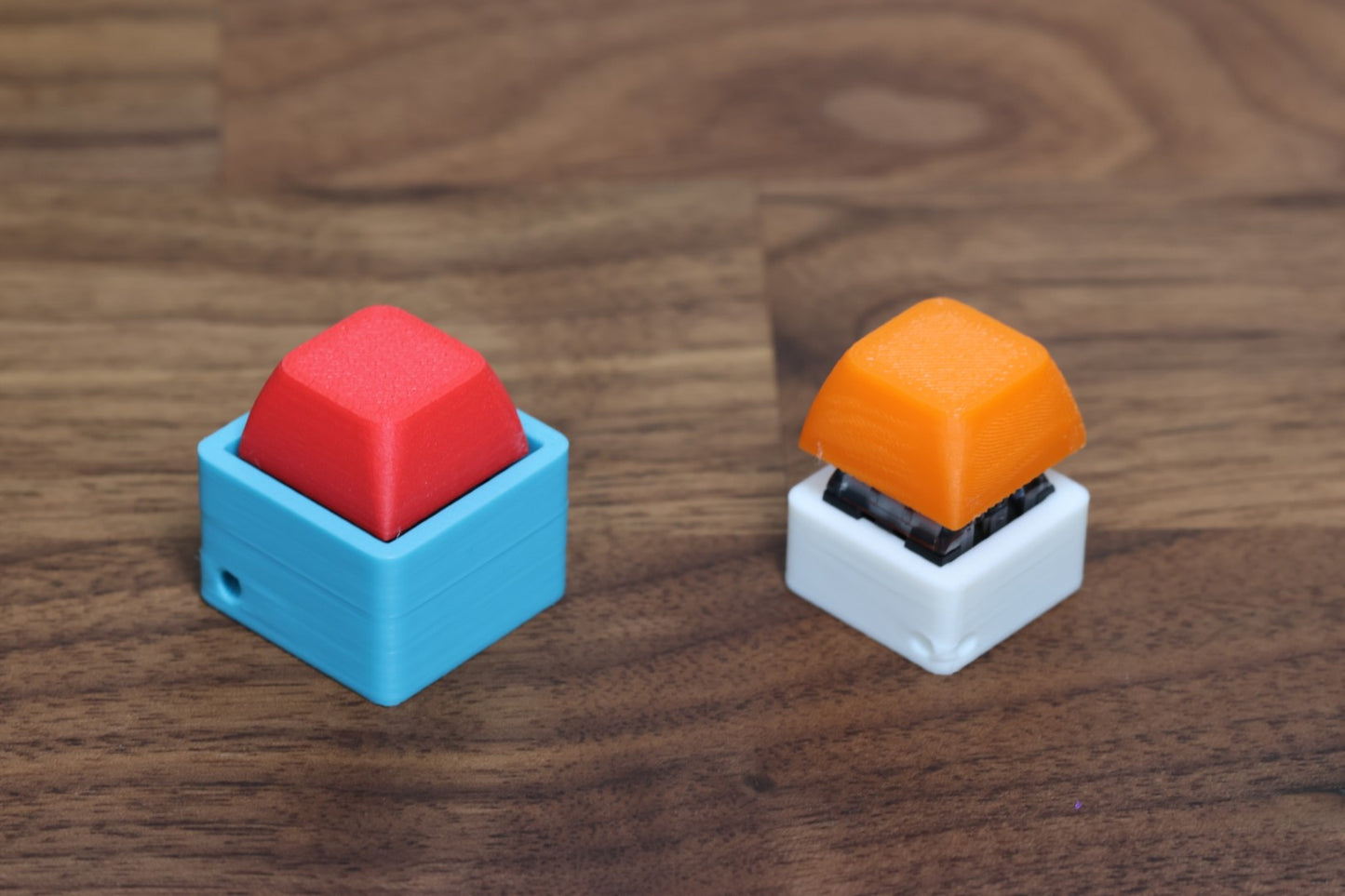 The Singularity Keyboard Fidget (1 Key)